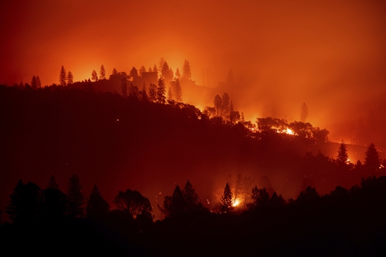 지난 9일 미국 캘리포니아주(州) 북부와 남부에서 동시다발적으로 발생한 대형 산불로 인해 현재(14일 기준) 50명이 사망하고 288명이 실종됐다. 사망자수는 진화작업과 구조작업이 진행되면서 더 늘어날 것으로 보인다. 6일 간 이어지고 있는 이번 화재로 인해 800km²(여의도 면적의 약 96배) 가량의 산림이 잿더미로 변했으며, 6700여 개의 건물도 소실됐다. 이번 재해는 화재가 처음 발생한 인근 도로명 캠프크릭로드(Camp Creek Road)에서 이름을 따 ‘캠프파이어(Campfire)’로 불리고 있으며, 아직 구조작업이 진행 중임에도 1933년 29명의 사망자를 낸 그리피스팍 화재 이후 캘리포니아주 화재 사상 최대 인명피해를 낸 사고가 됐다. 소방당국에 따르면 화재진압을 위해 8000여 명의 소방관들이 동원됐지만 캠프파이어는 30%만 진압된 상태다. 소방당국은 화재 진화에 애를 먹고 있는 큰 이유로 ‘210일 동안 비가 전혀 오지 않는 패러다이스 타운의 기록적인 가뭄 상태’를 꼽고 있다. 극심하게 건조한 기후와 강한 바람이 만나 불길을 급속하게 확신시키고 있는 것이다. 이에 도널드 트럼프 대통령은 지난 12일 캘리포니아주를 주요 연방 재난지역으로 선포했다.