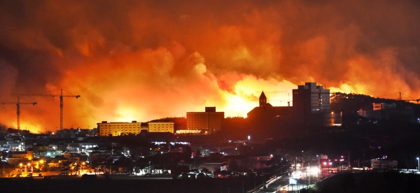 4월 4일 발생한 강원도 화재(이미지 제공: 뉴시스)