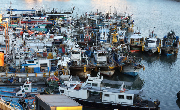서해상에 풍랑주의보가 내려진 24일 오전 인천 중구 인천항 연안부두에 어선들이 정박해 있다. (사진제공=뉴시스)
