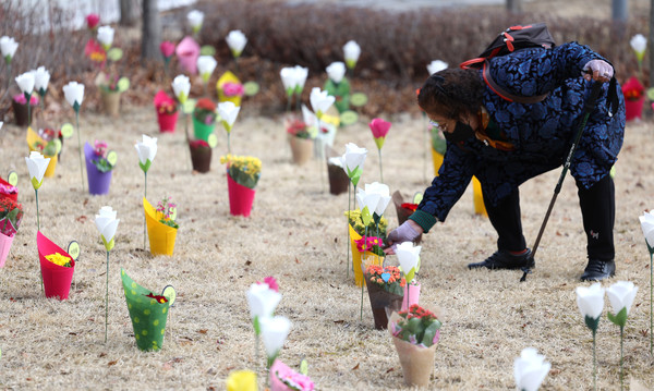 18일 대구 동구 시민안전테마파크에서 열린 2·18 대구지하철 화재 참사 21주기 추모식을 찾은 한 시민이 추모 꽃밭에 꽃을 꽂고 있다.  사진제공 : 뉴시스