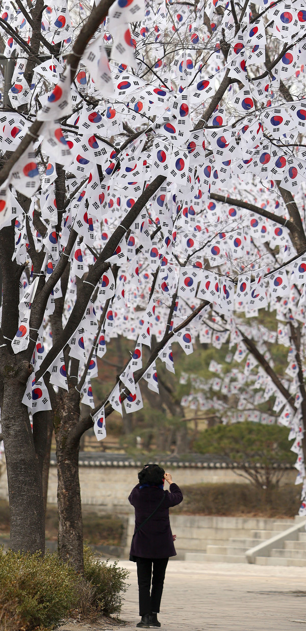 제105주년 3.1절을 하루 앞둔 29일 서울 용산구 효창공원에 태극기 거리가 조성돼있다. 사진제공 : 뉴시스